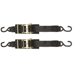 Boat Buckle F14207 Transom/Utility Ratchet Transom Tie-Down 2 Pack - 2 in. x 4 ft.